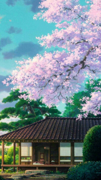 樱花背景