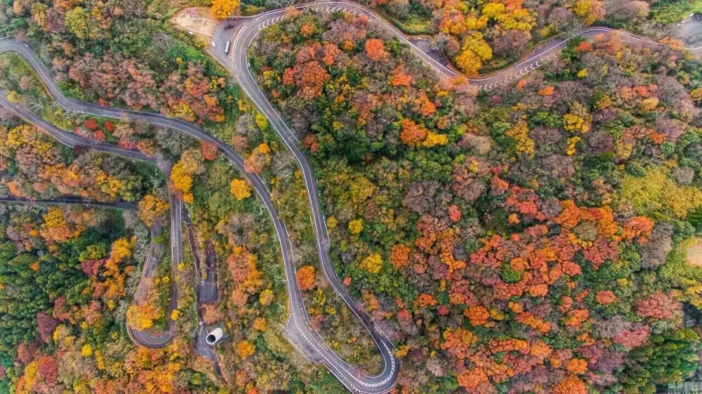 风景