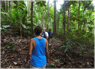 Malaysia Borneo National Parks, Sarawak, Tanjung Datu
丹绒拿督国家公园, 砂拉越州属, 马来西亚婆罗洲