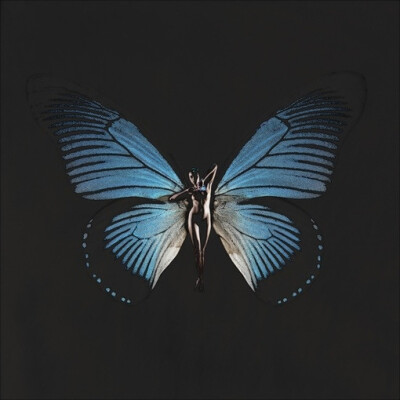 你若盛开 蝴蝶自来