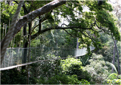 Malaysia Paninsular National Parks, Pahang, Taman Negara
大汉山国家公园, 彭亨州属, 马来西亚半岛