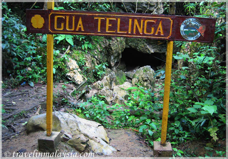 Malaysia Paninsular National Parks, Pahang, Taman Negara
大汉山国家公园, 彭亨州属, 马来西亚半岛