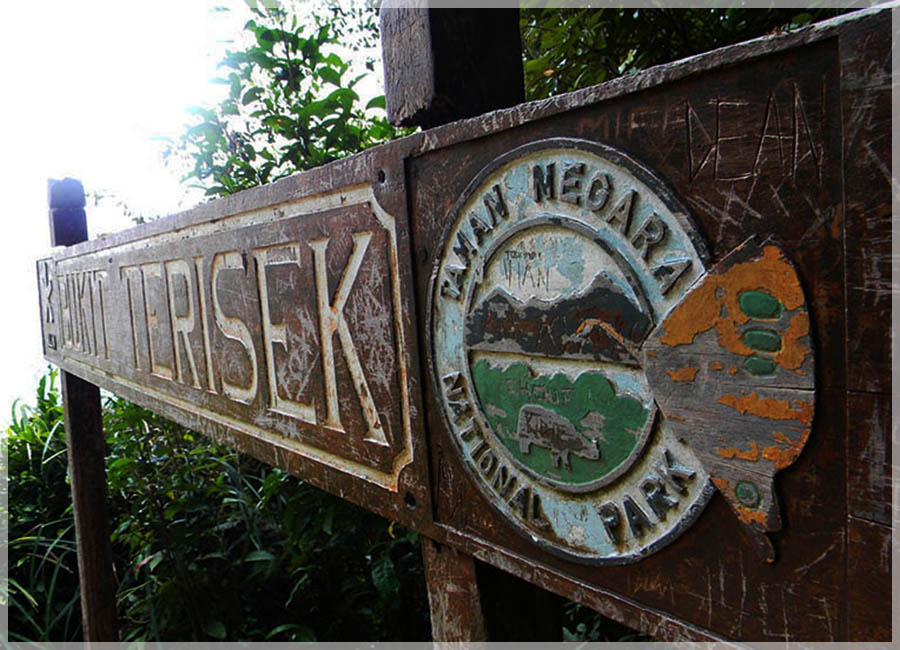 Malaysia Paninsular National Parks, Pahang, Taman Negara
大汉山国家公园, 彭亨州属, 马来西亚半岛