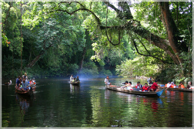 Malaysia Paninsular National Parks, Pahang, Taman Negara
大汉山国家公园, 彭亨州属, 马来西亚半岛