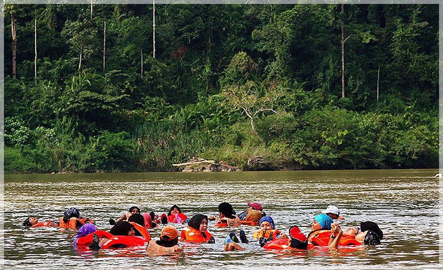 Malaysia Paninsular National Parks, Pahang, Taman Negara
大汉山国家公园, 彭亨州属, 马来西亚半岛