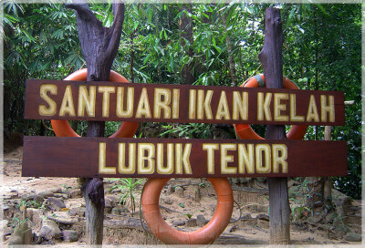 Malaysia Paninsular National Parks, Pahang, Taman Negara
大汉山国家公园, 彭亨州属, 马来西亚半岛