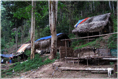 Malaysia Paninsular National Parks, Pahang, Taman Negara
大汉山国家公园, 彭亨州属, 马来西亚半岛