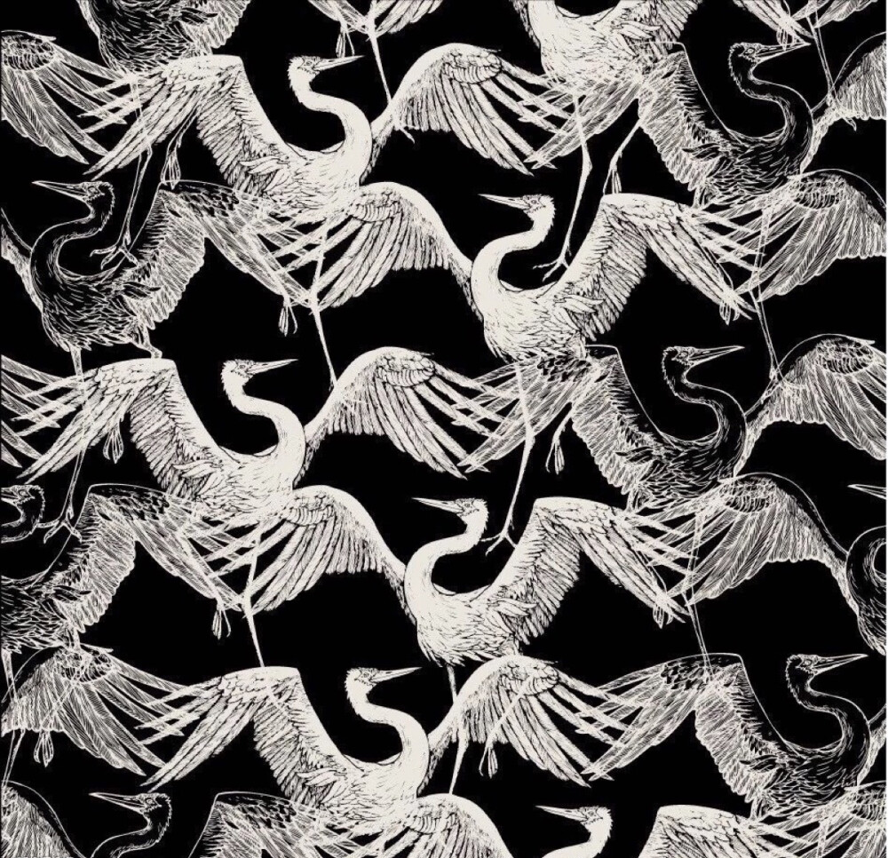 宝贝姜稚的背景