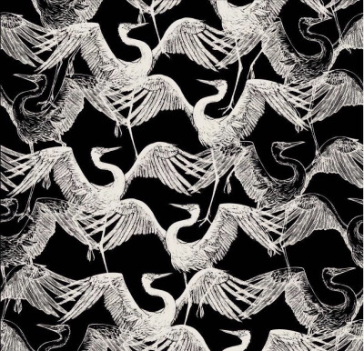 宝贝姜稚的背景