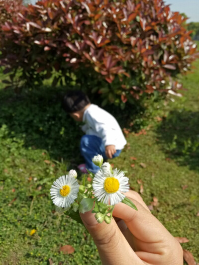 闺女送的花