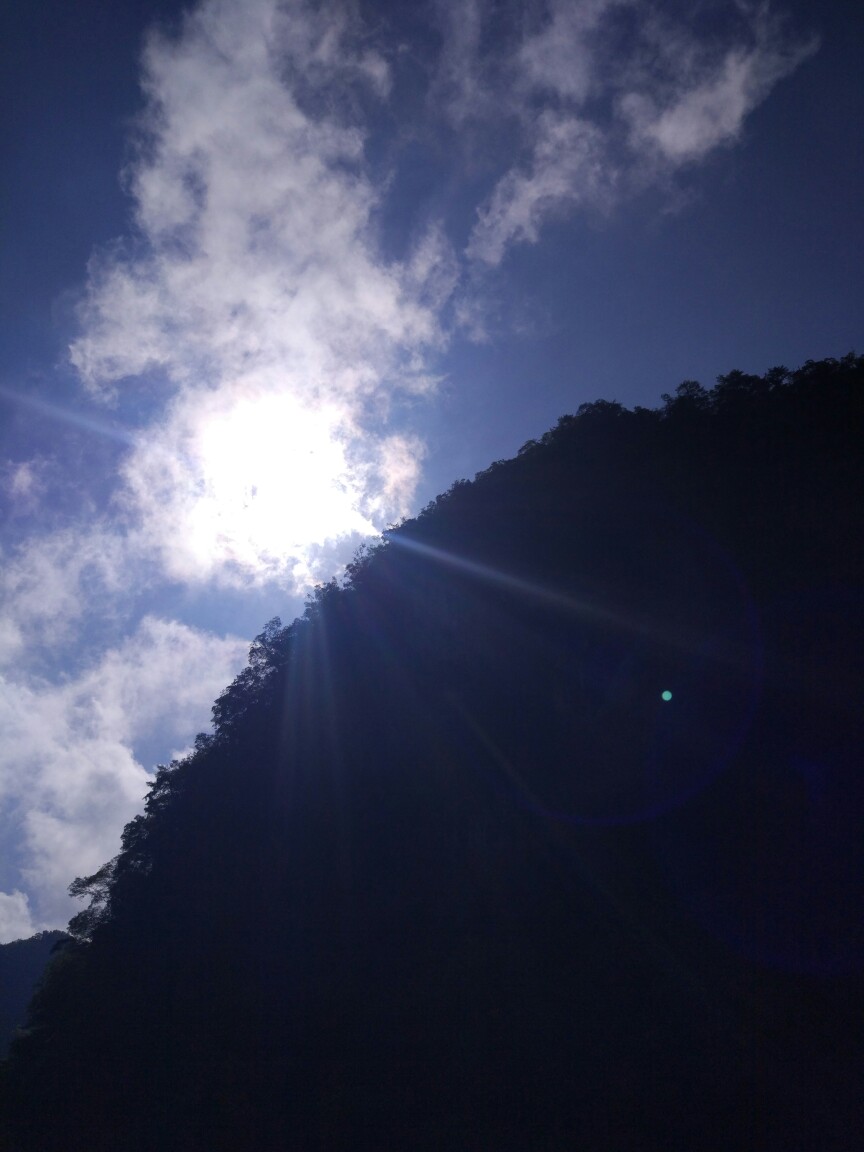 太阳不错哦！可惜晒不干晨露。