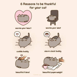 Pusheen / cr. FB