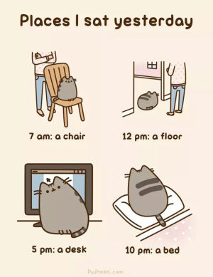 Pusheen / cr. FB