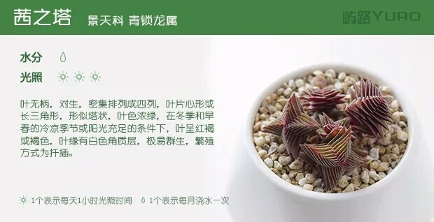 茜之塔