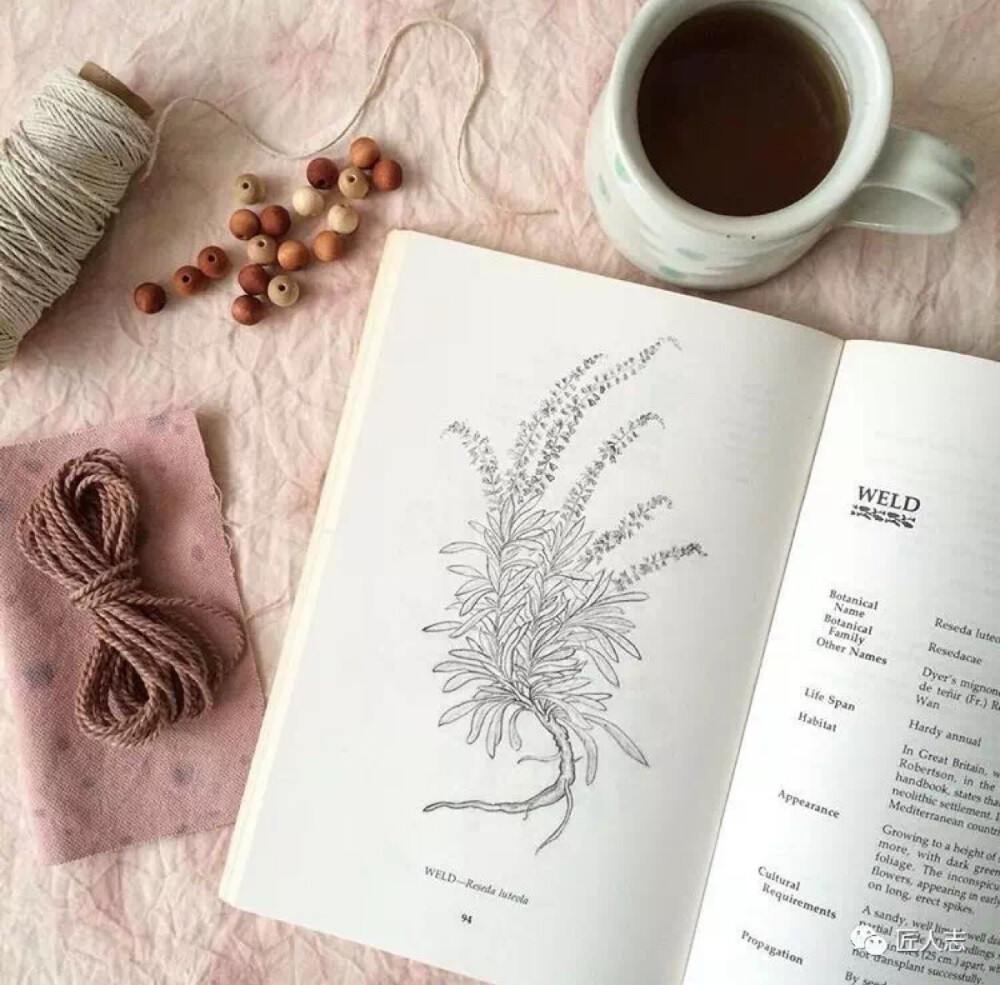 新书叫作《Botanical Colour at your Fingertips》已经在Amazon开始销售了！