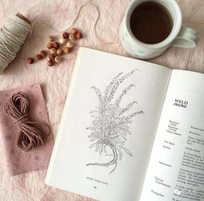 新书叫作《Botanical Colour at your Fingertips》已经在Amazon开始销售了！