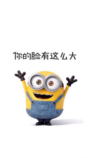 你的脸就这么大