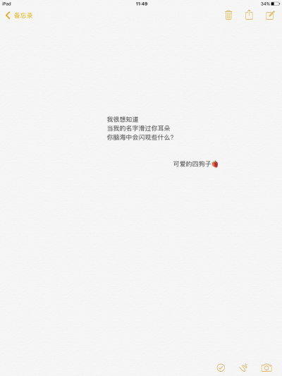 文字 备忘录 @可爱的四狗子