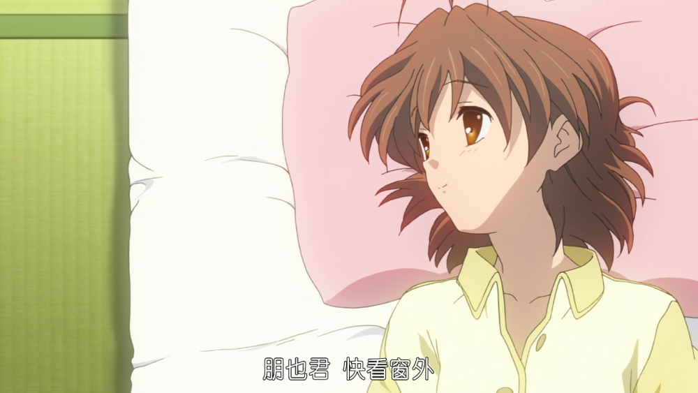 Clannad(第三次相遇后的生活)