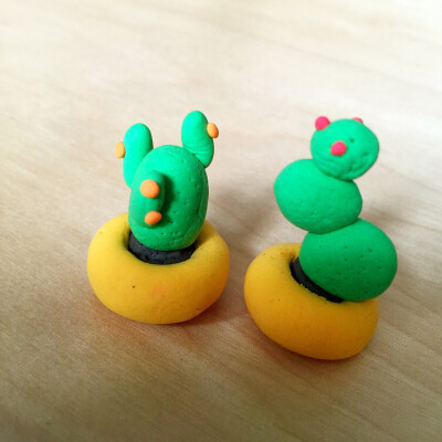 漂亮仙人掌。。。