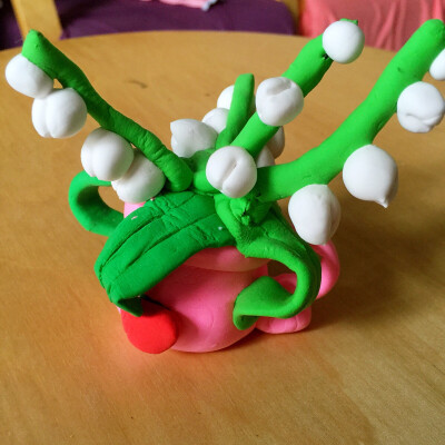 美丽铃铛花。。。