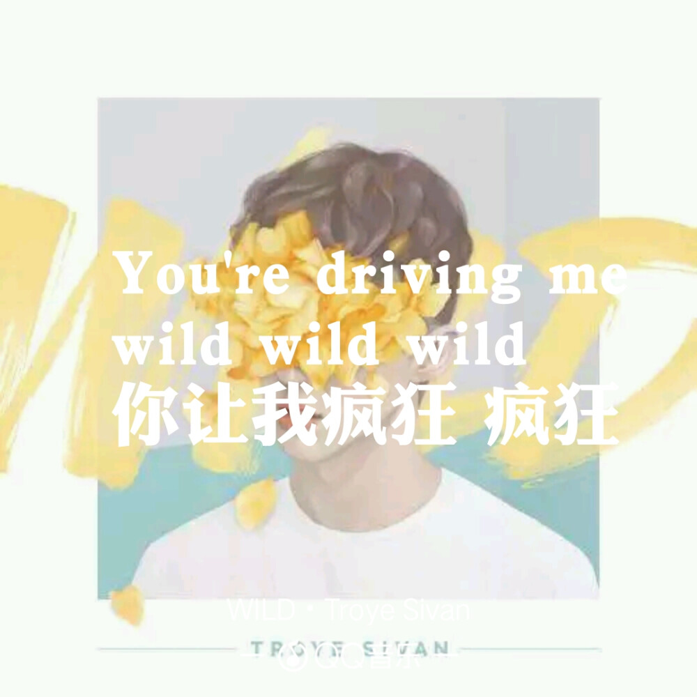 《WILD》