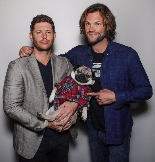 J2