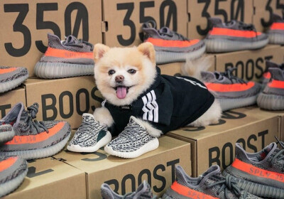 Yeezy