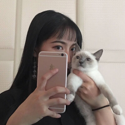 Daisy妤故の韩系 中系 女头 女生头像