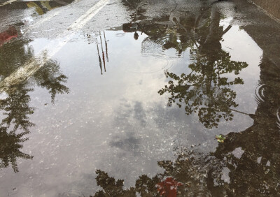 就算大雨让这座城市颠倒/我会给你怀抱