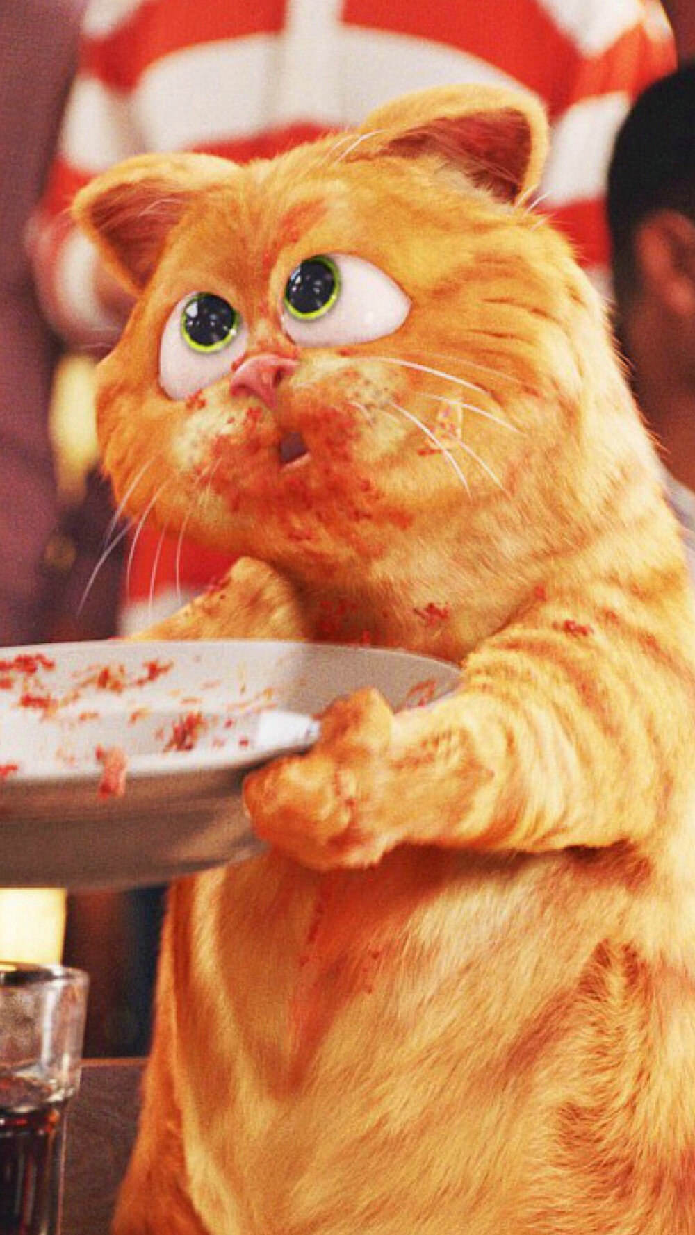 加菲猫可爱壁纸啊！