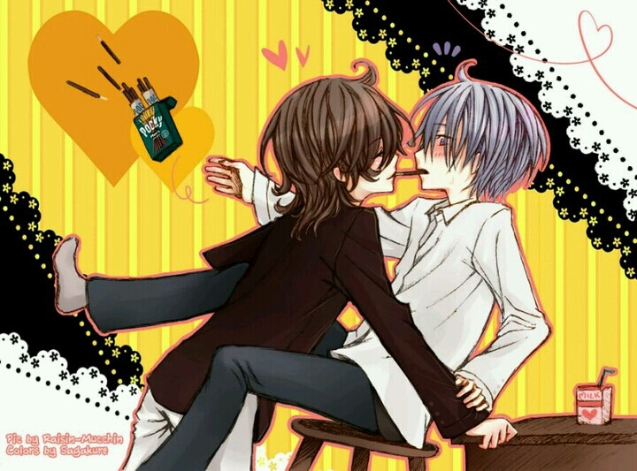 玖兰枢＼锥生零＼枢零＼吸血鬼骑士