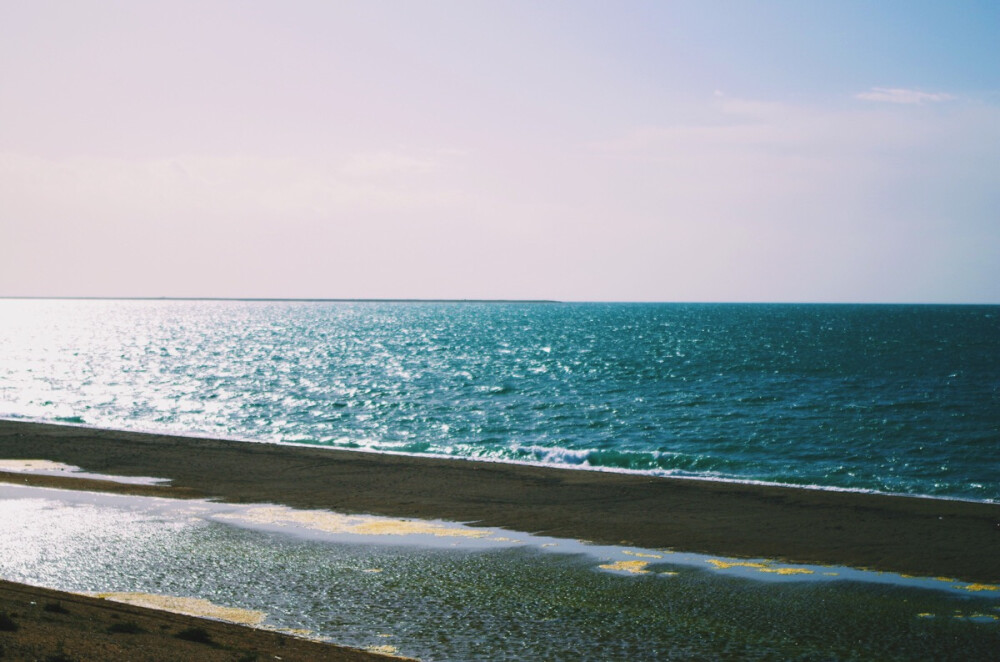 圣湖青海湖·天鹅湖