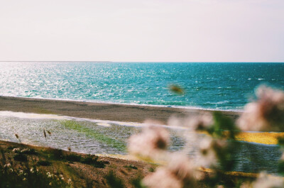 圣湖青海湖·天鹅湖