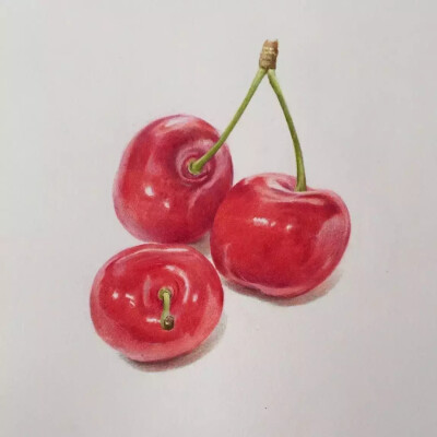 彩铅｜馋嘴小樱桃