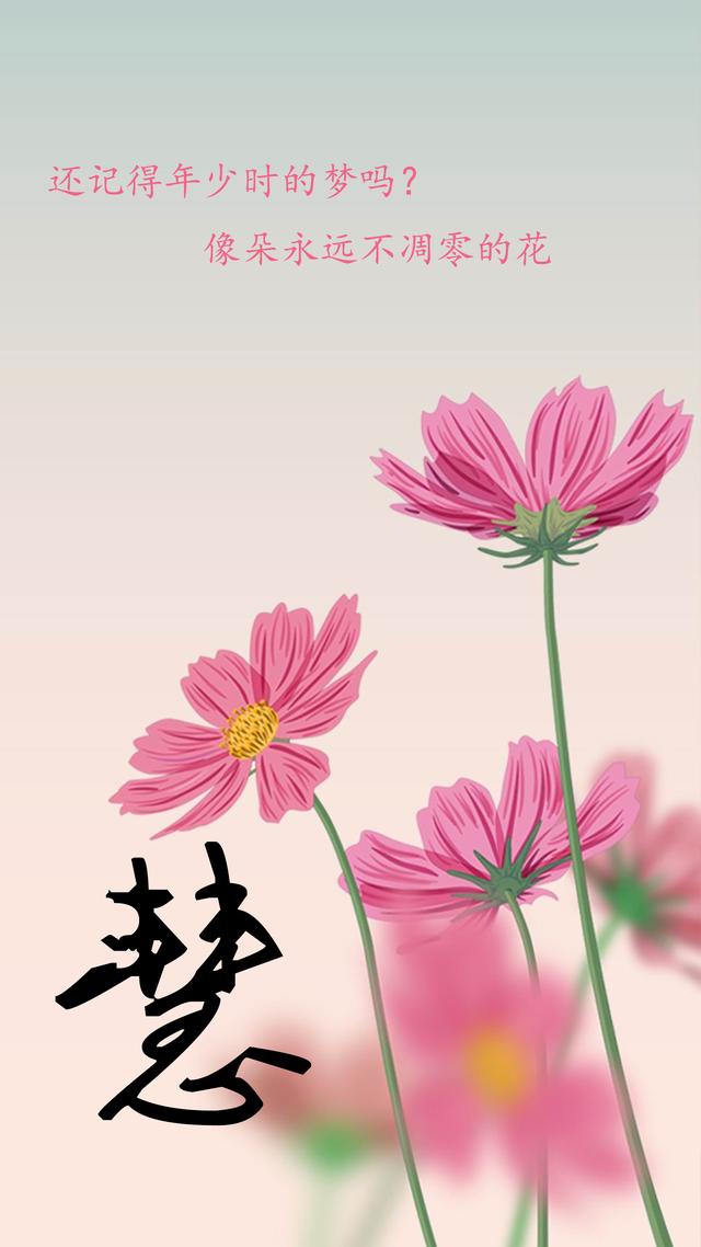 慧- 堆糖,美图壁纸兴趣社区