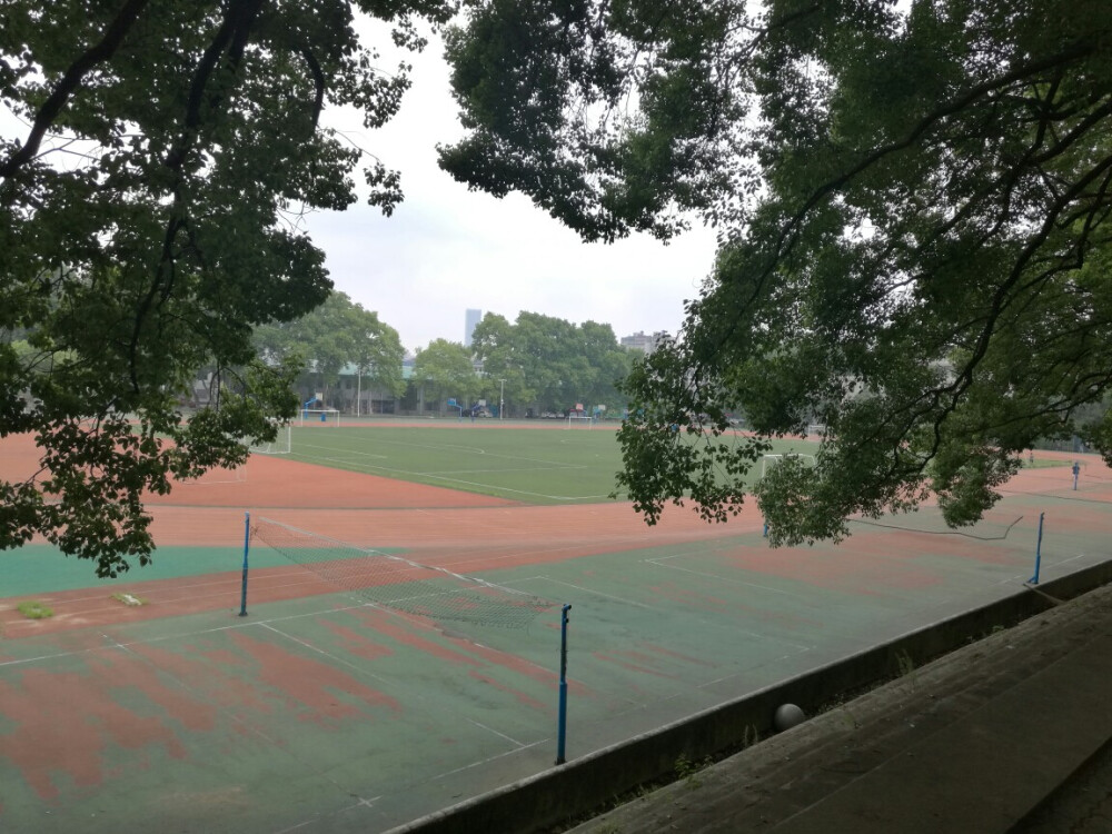 武汉大学