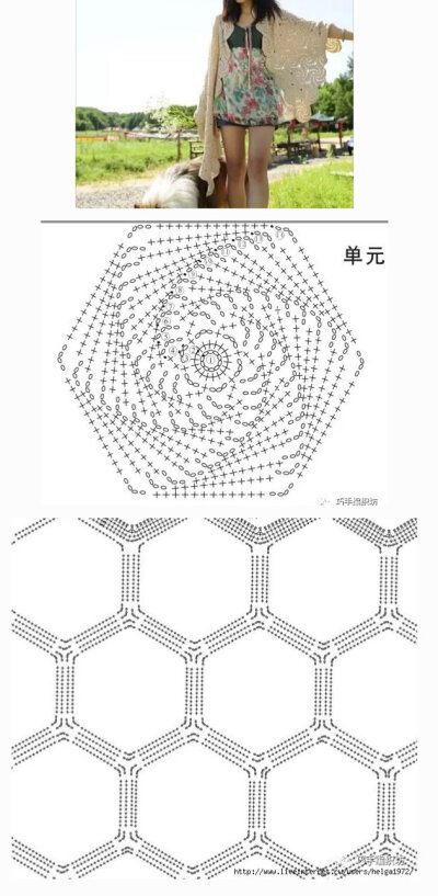 螺旋花