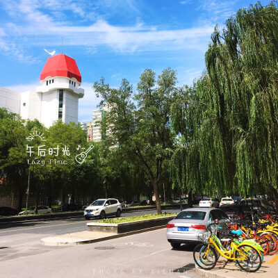 2017.8.29 终于捱过了漫长的夏日。今天天很蓝，空气很清新，我们决定午休出来漫步。秋风带走了这两个月以来所有的迷茫和悲伤，我变得好开心～