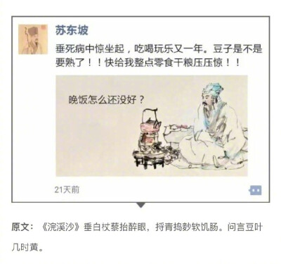 苏东坡解析