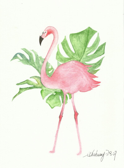 flamingo