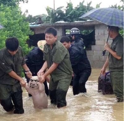 网红小猪表情包 洪水中的二师兄表情包