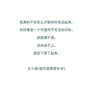 我真的不知道怎么才能和你亲近起来，你好像一个可望不可及的目标，我捉摸不透，追也追不上，就坐下哭了起来。——王小波《爱你就像爱生命》