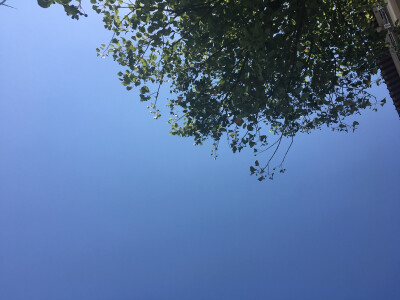 最美的风景是你