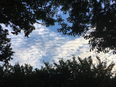 最美的风景是你