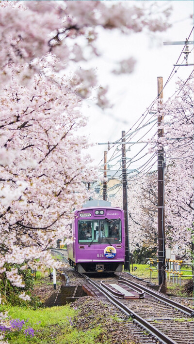 日本