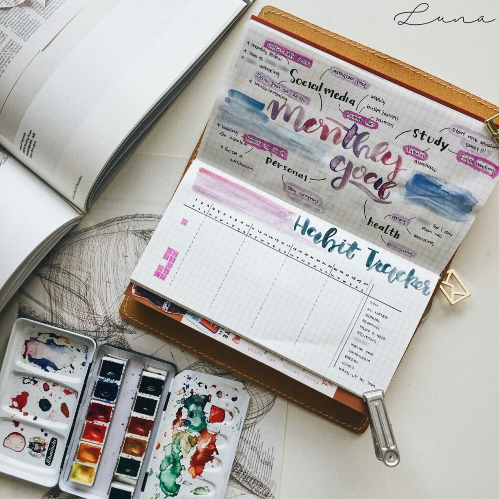 bujo手帐【图源来自于微博@lunaaaaaah，侵删】水彩大佬，好看到没朋友！