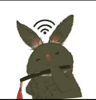 wifi
