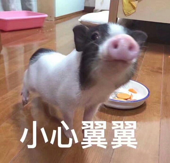 小心翼翼