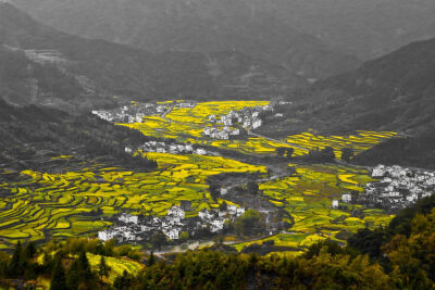 田地